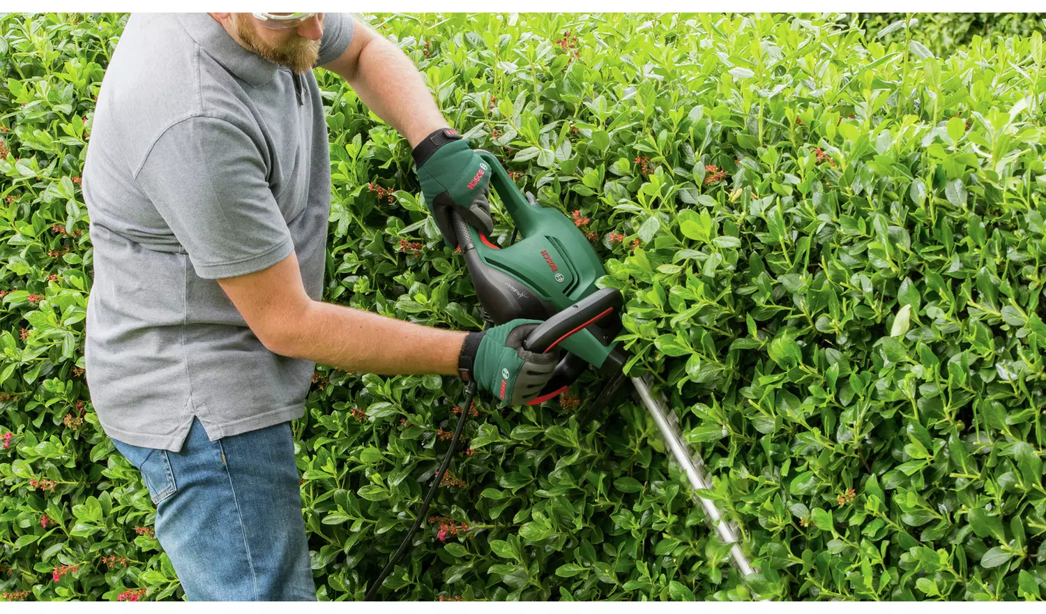 Bosch Advanced Hedge Cut 60 Corded Hedge Trimmer