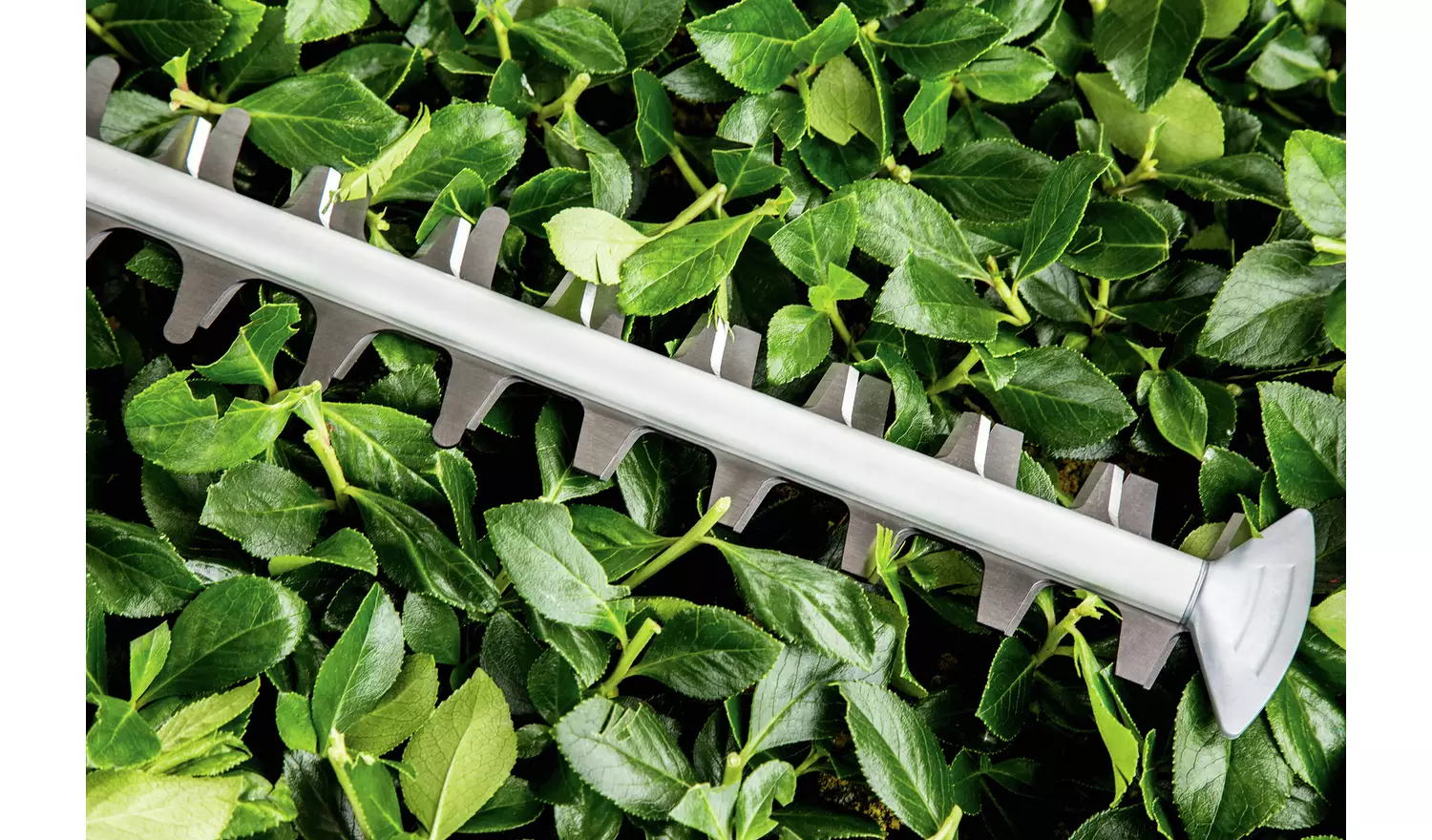 Bosch Advanced Hedge Cut 60 Corded Hedge Trimmer