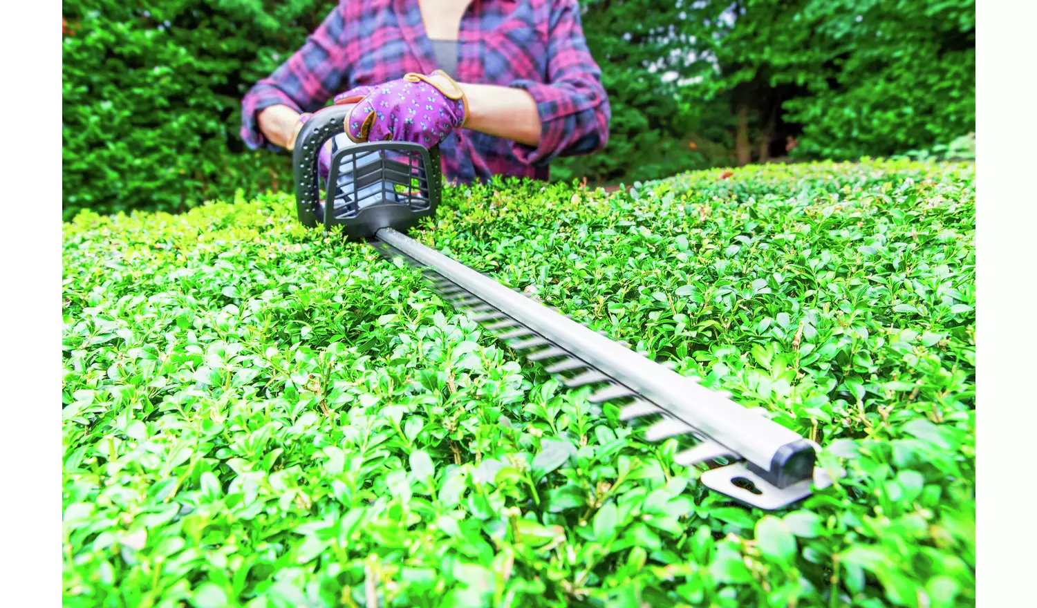 Spear & Jackson 51cm Cordless Hedge Trimmer with Battery 18V