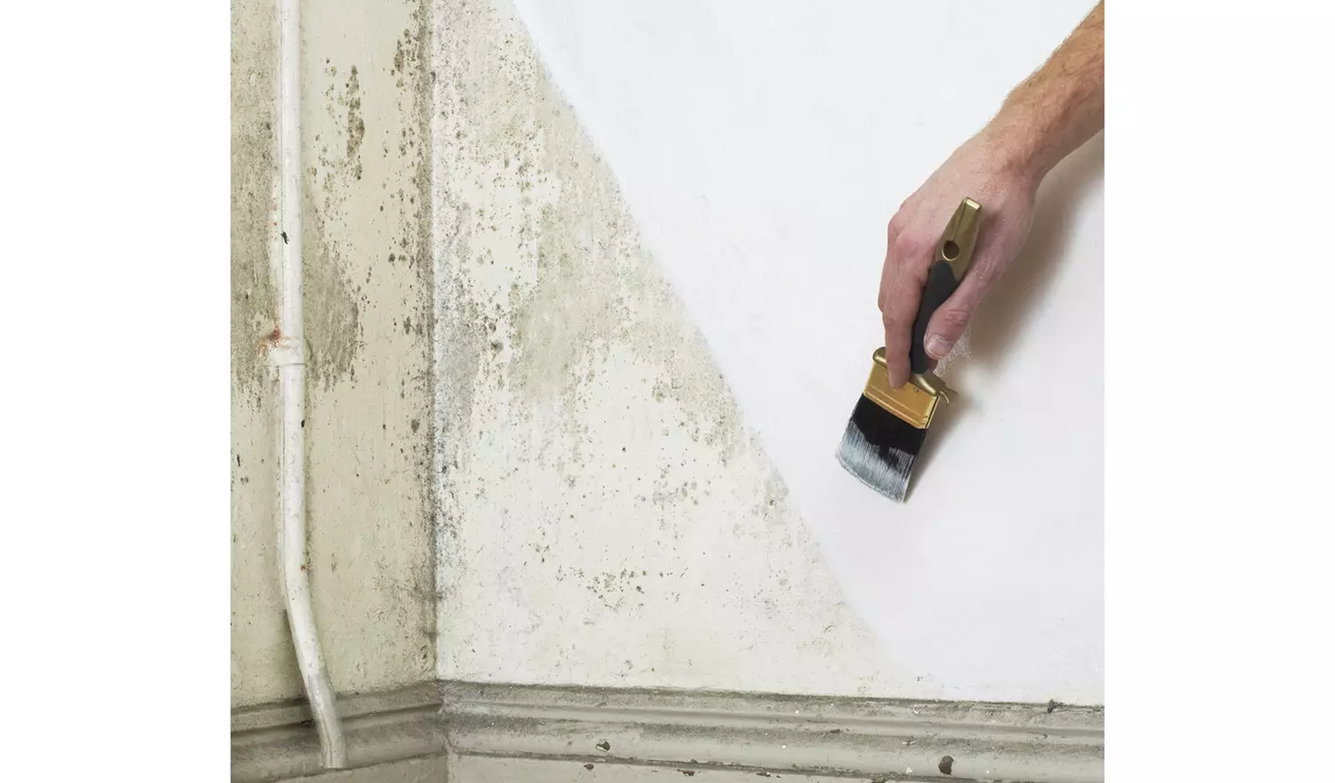 Johnstone's Damp Matt Paint 750ml - White