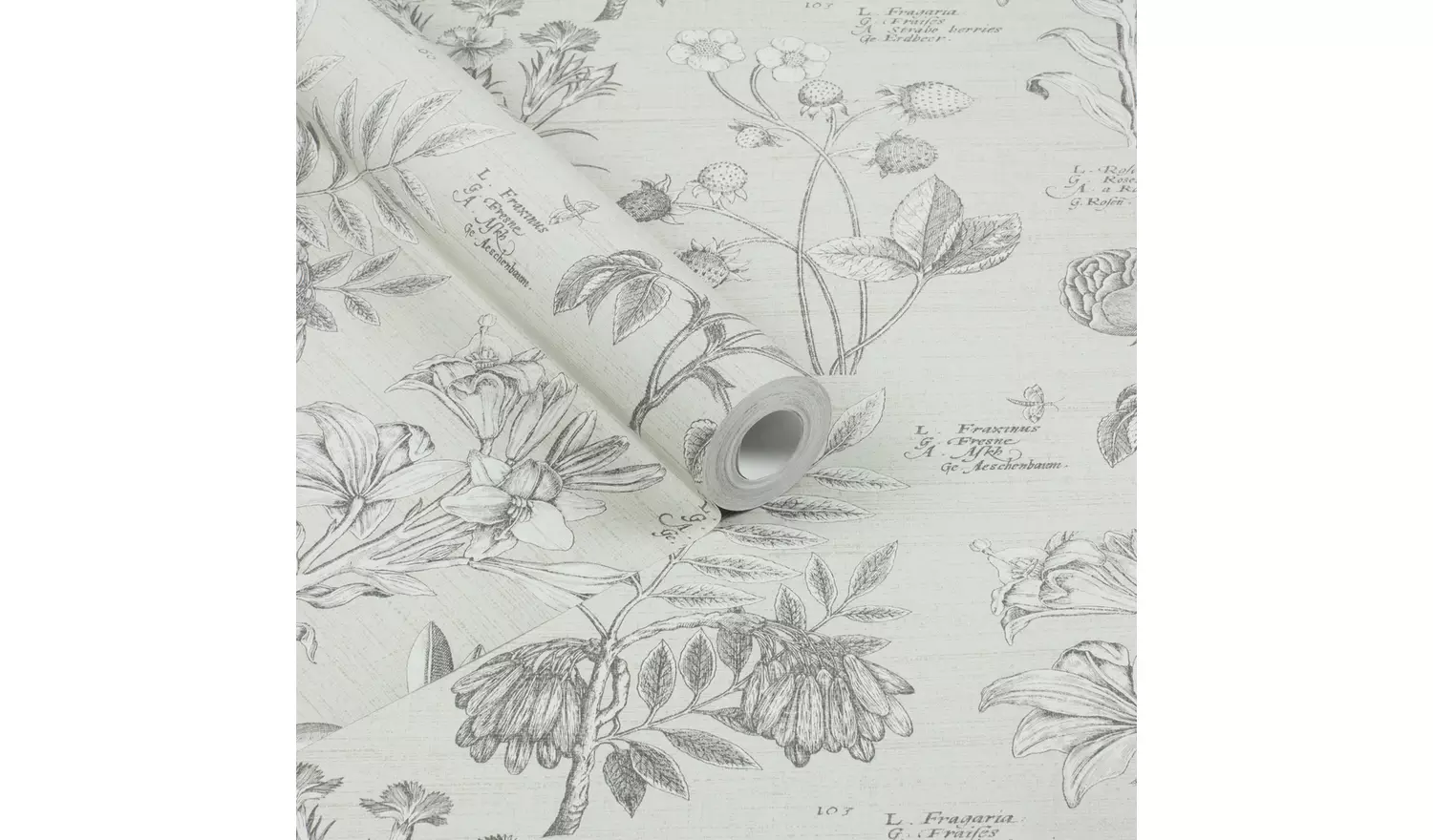 RHS Botanical Sketchbook Cream Wallpaper