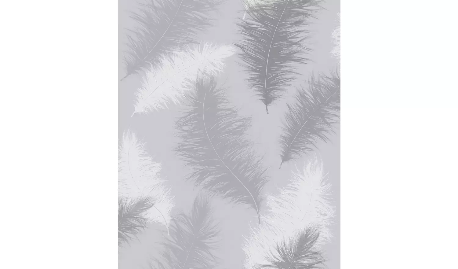 Arthouse Sussaro Feather Grey Wallpaper