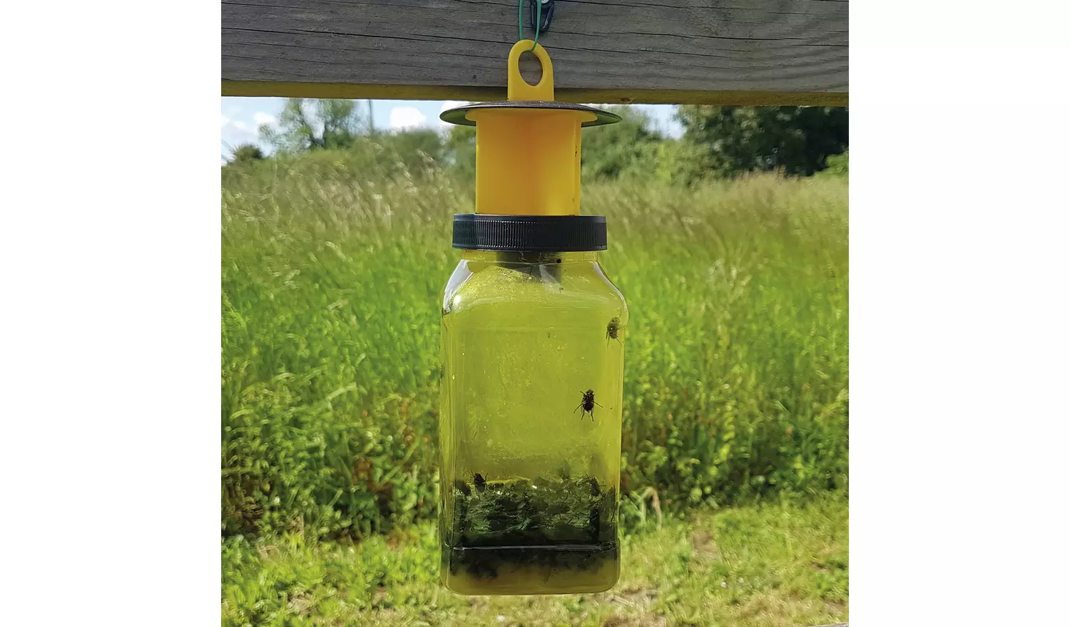 Zero In Fly Catcher Twinpack