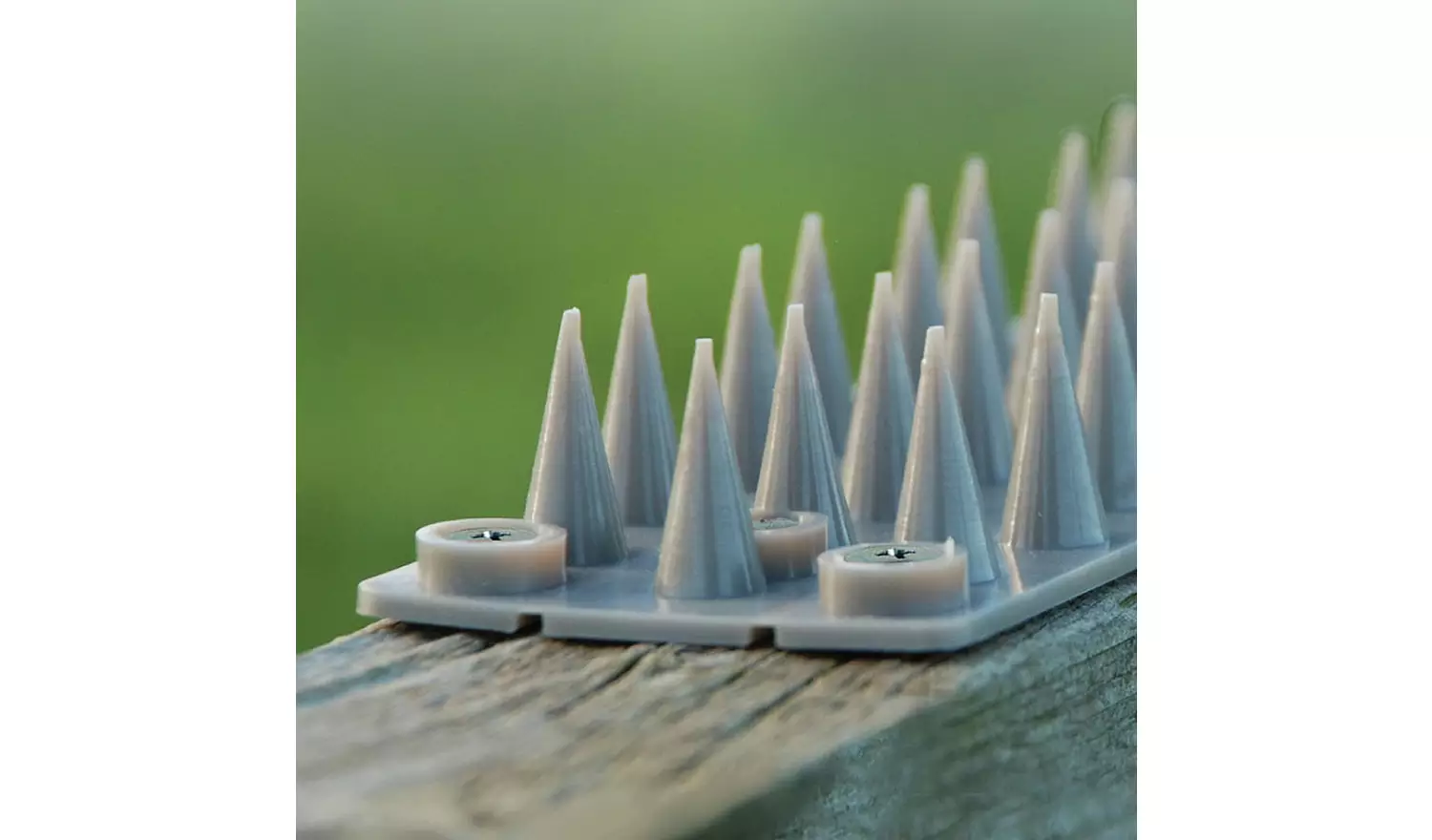 Defenders Prickle Strip Garden Fence Topper