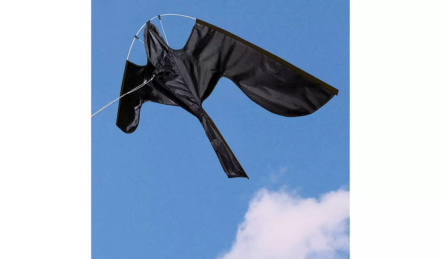 Defenders Hawk Bird Scaring Kite