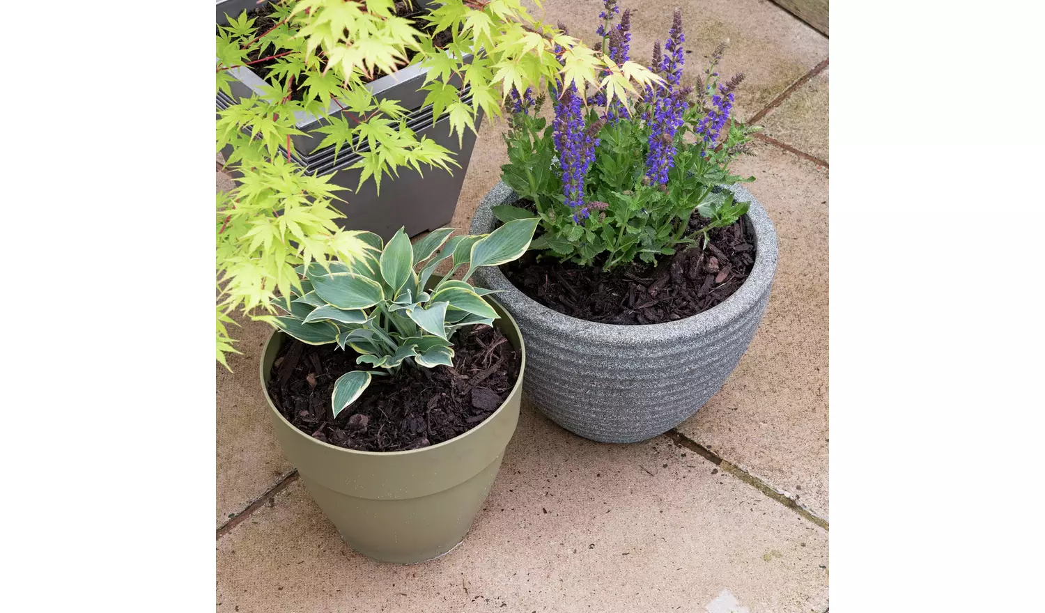 Levington Decorative Chipped Bark - 40L