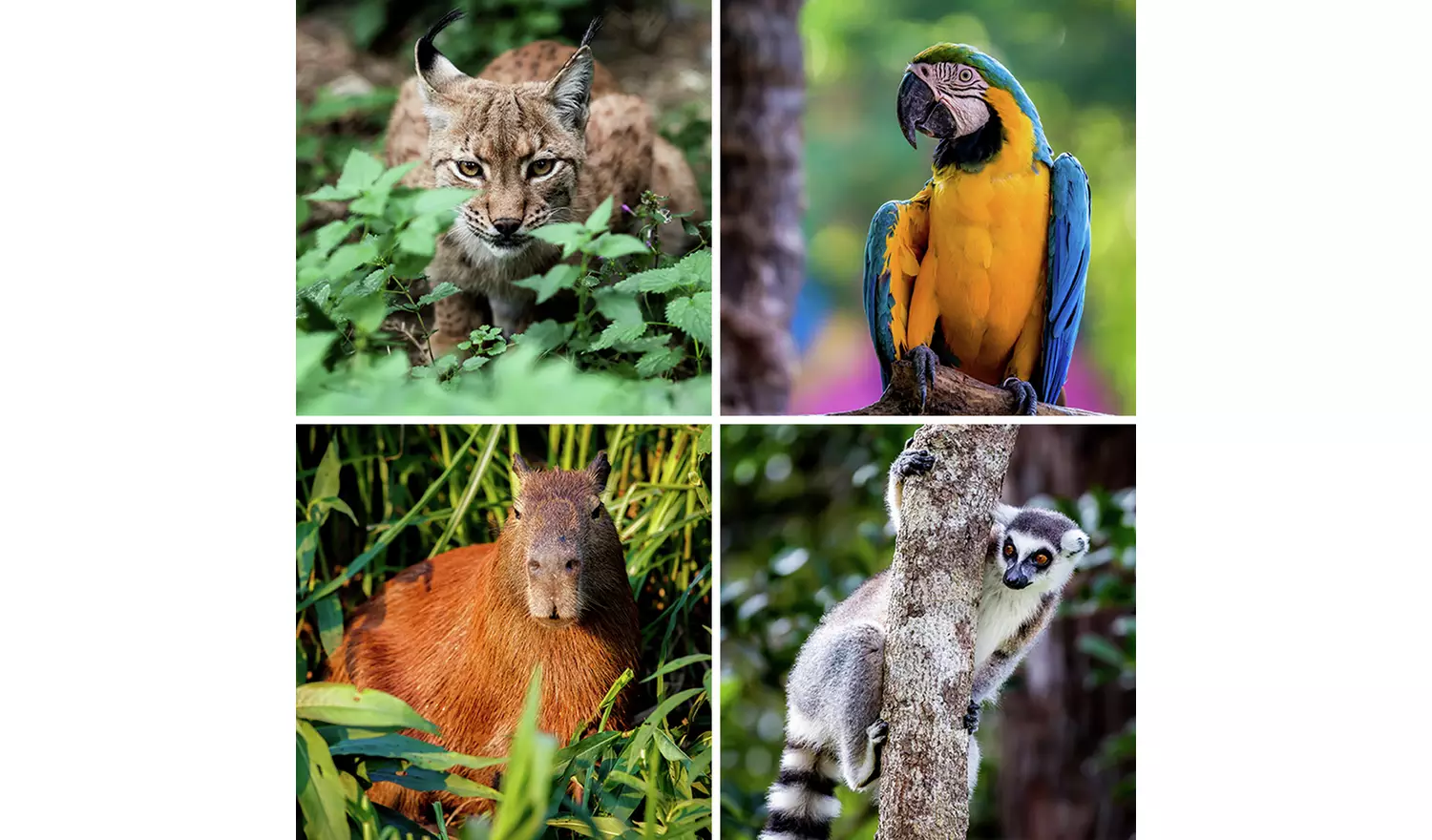 Activity Superstore Two Night Stay In Log Cabin For Two