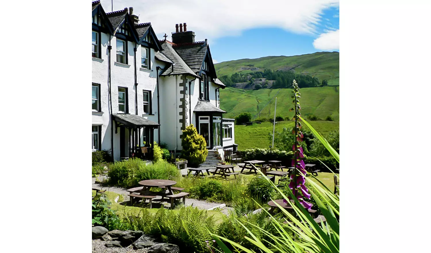 Activity Superstore Dog Friendly Hotel Stays For Two