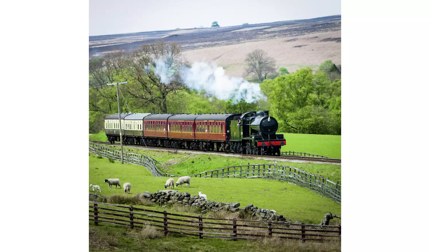 Activity Superstore Steam Train And Afternoon Tea For Two
