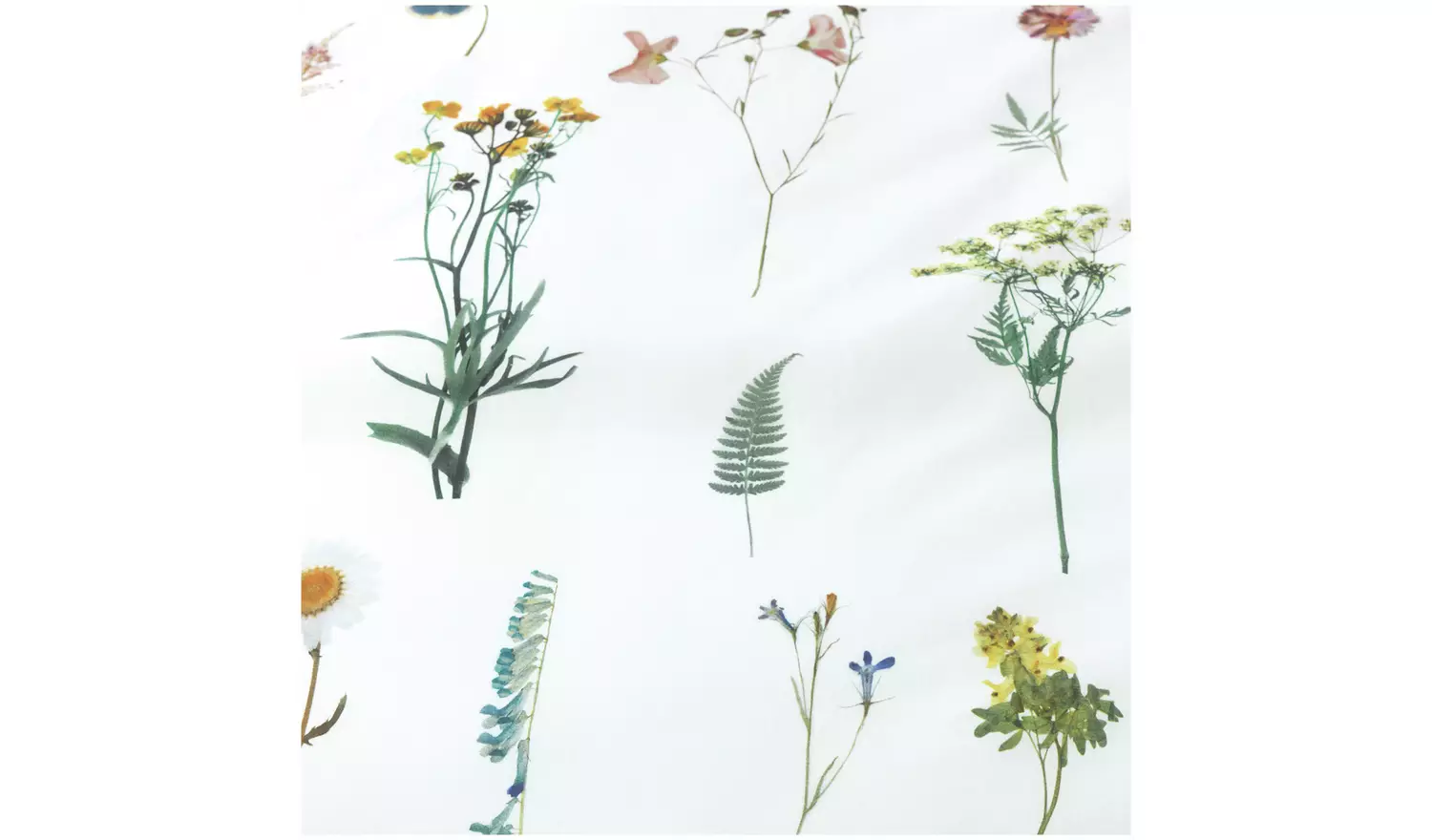 Habitat Cotton Dried Flowers White Bedding Set - Single