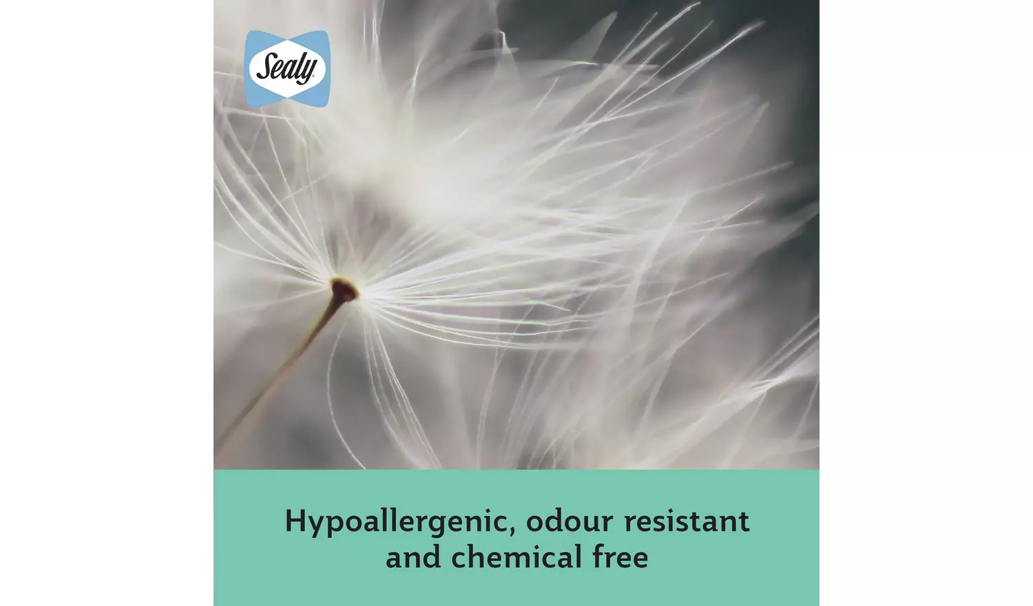 Sealy Anti Allergy Hollowfibre Mattress Topper - Double