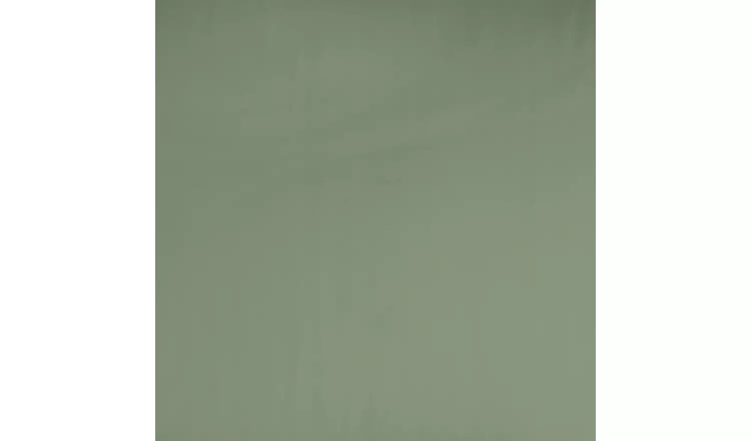 Habitat Cotton Rich 180 TC Standard Pillowcases 2 Pack-Green