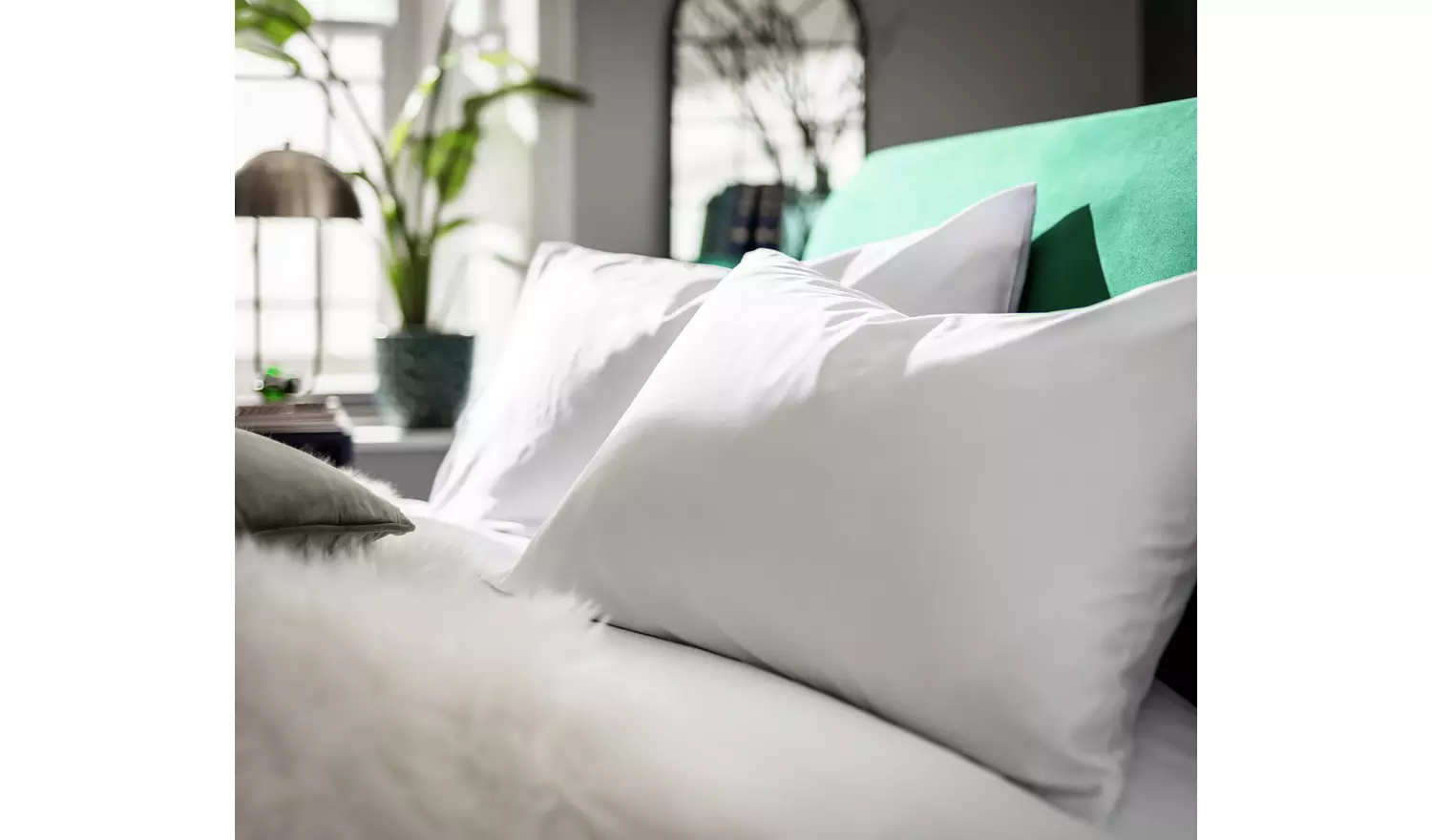 Habitat Egyptian Cotton Standard Pillowcase Pair - White