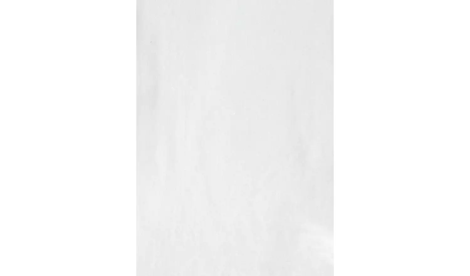 Habitat Pure Cotton 200TC Standard Pillowcase Pair - White