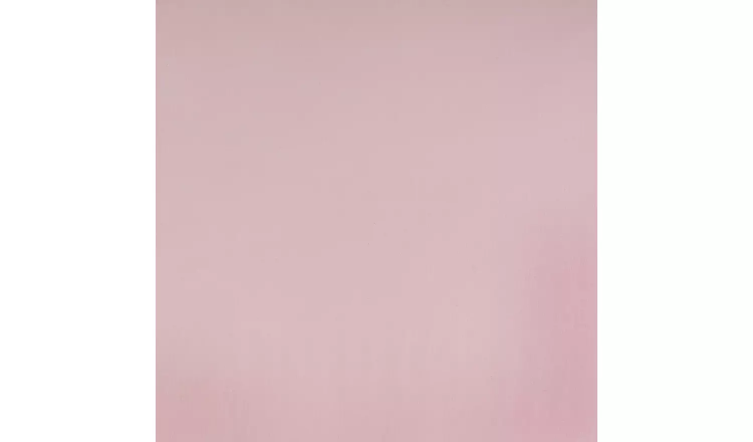 Habitat Cotton Rich 180 TC Standard Pillowcase Pair - Blush