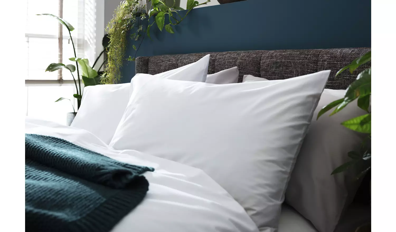 Habitat Cotton Lyocell Standard Pillowcase Pair - White