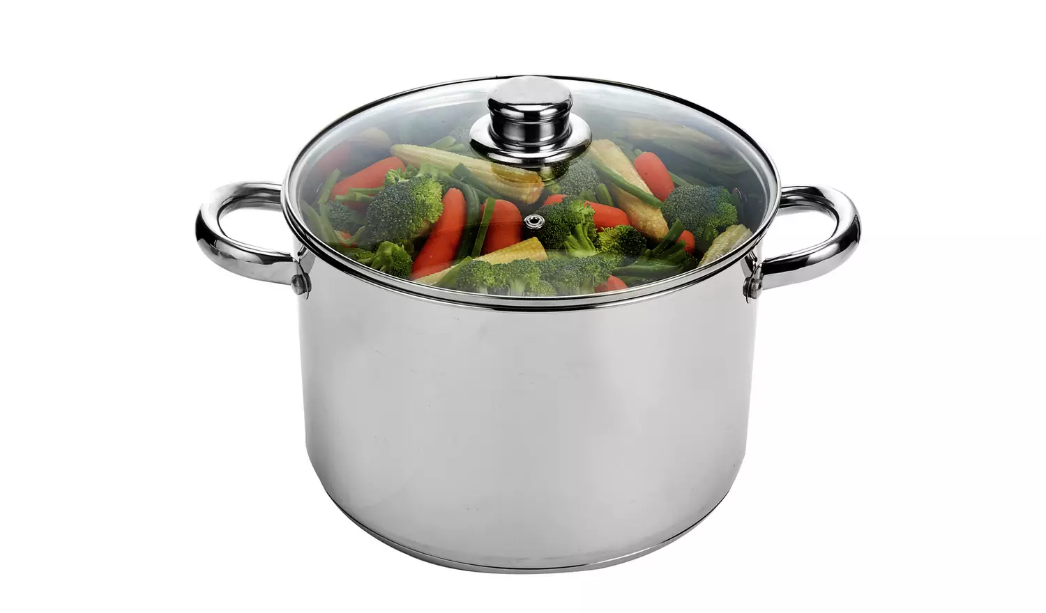 Argos Home 11 Litre Stainless Steel Stock Pot