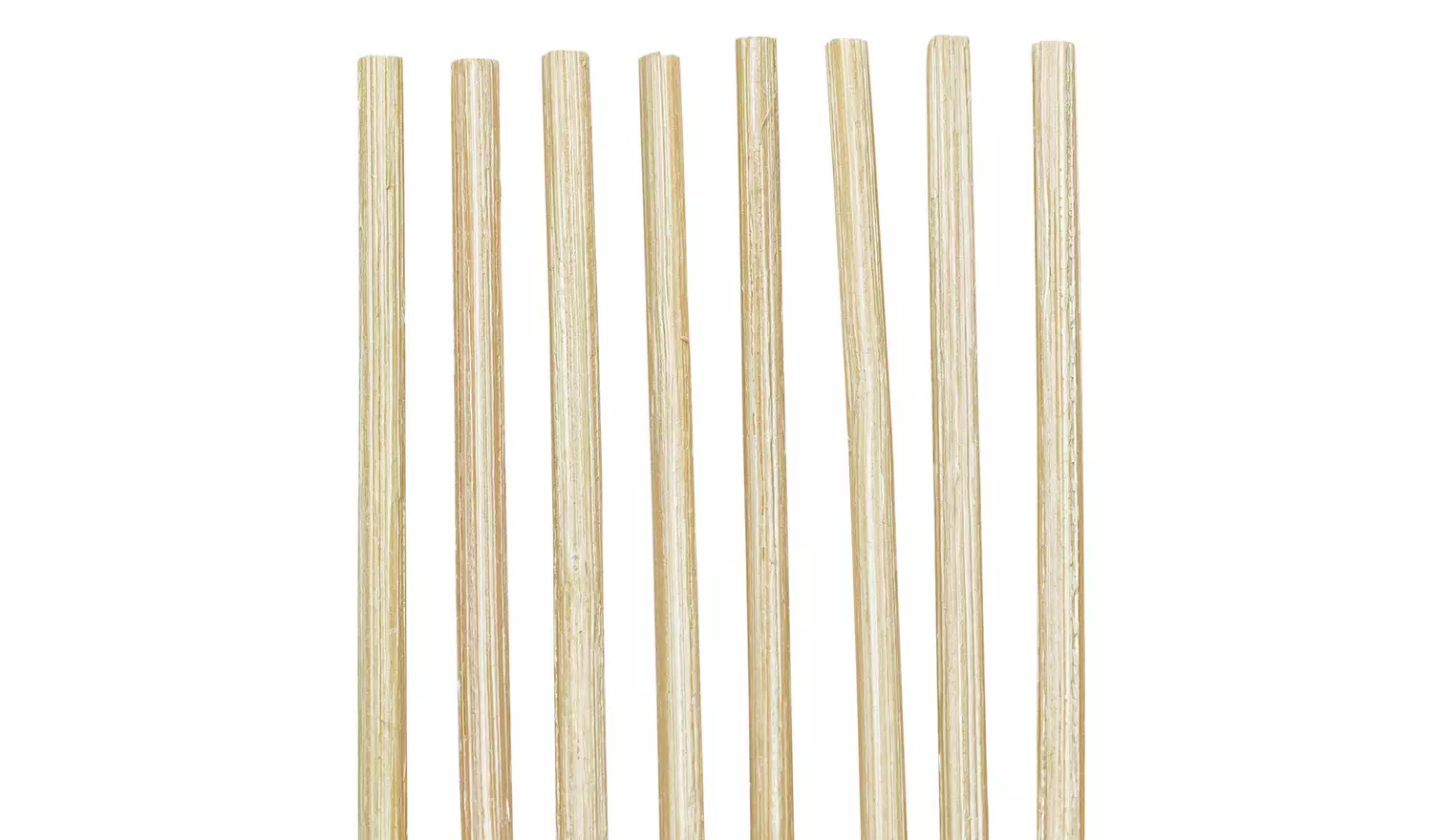 Habitat Diffuser Reeds - 30cm