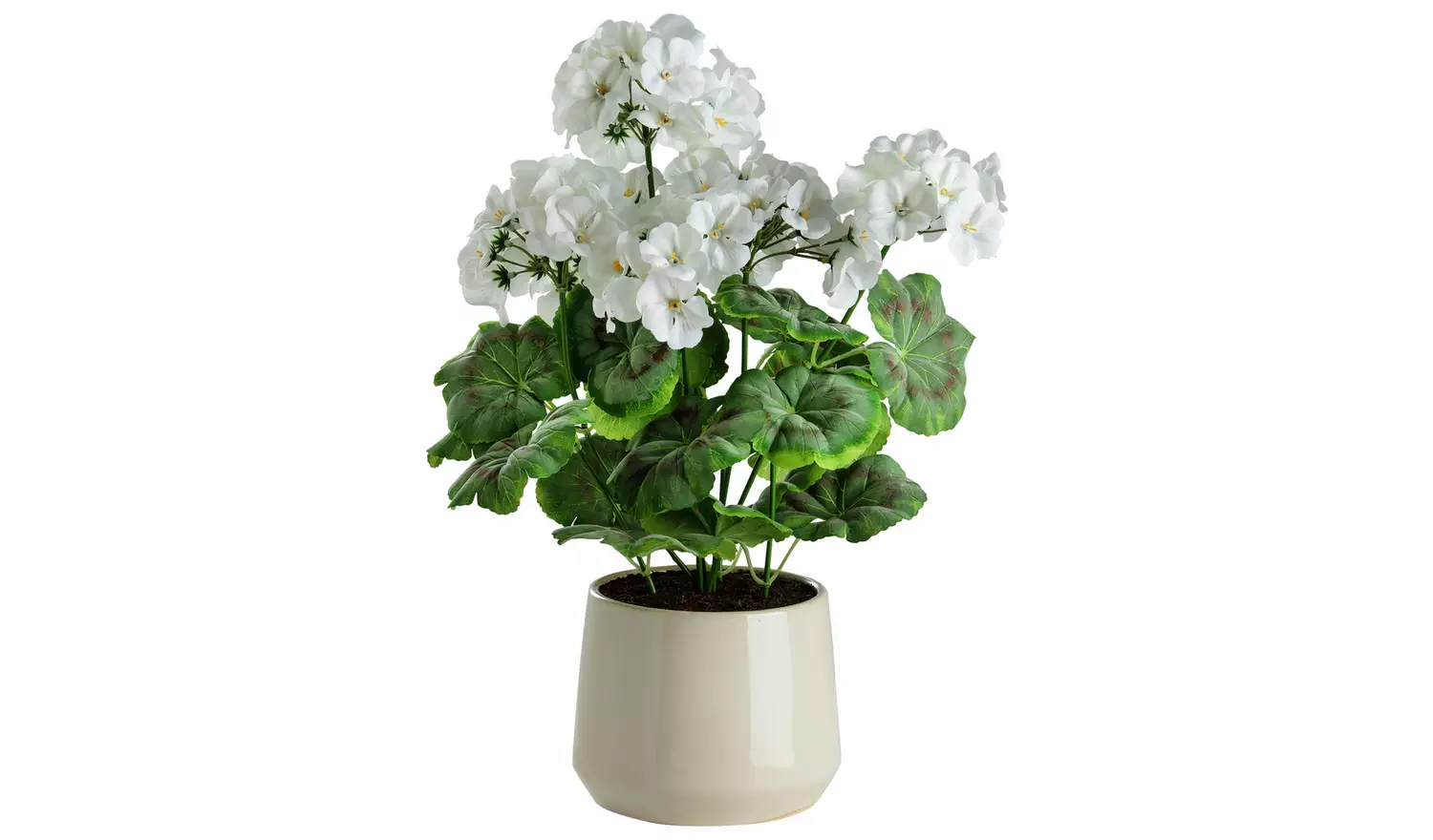 Argos Home Artificial Geranium in Ceramic Pot - Cream