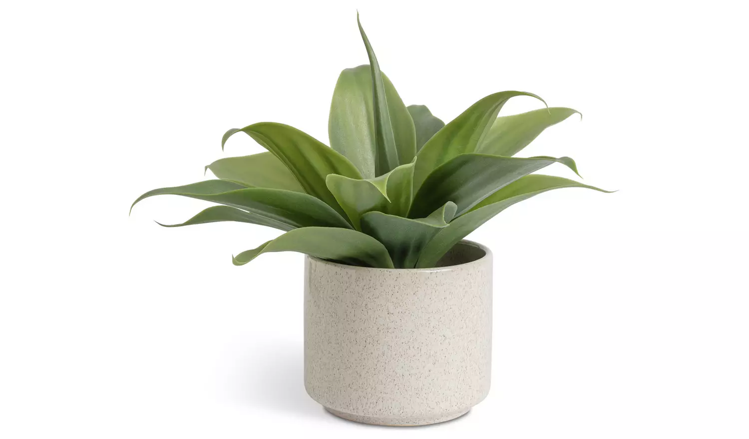 Habitat Artificial Aloe in Reactive Glazed Pot