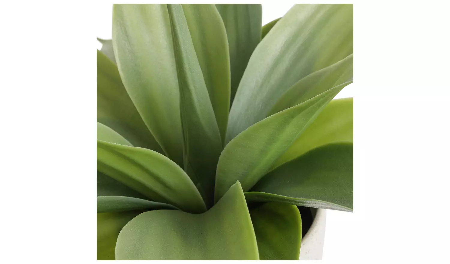 Habitat Artificial Aloe in Reactive Glazed Pot