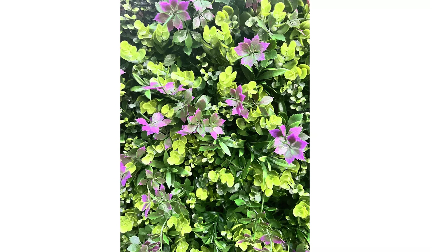 Garden XP 4 Pack Lavender Wall Panels