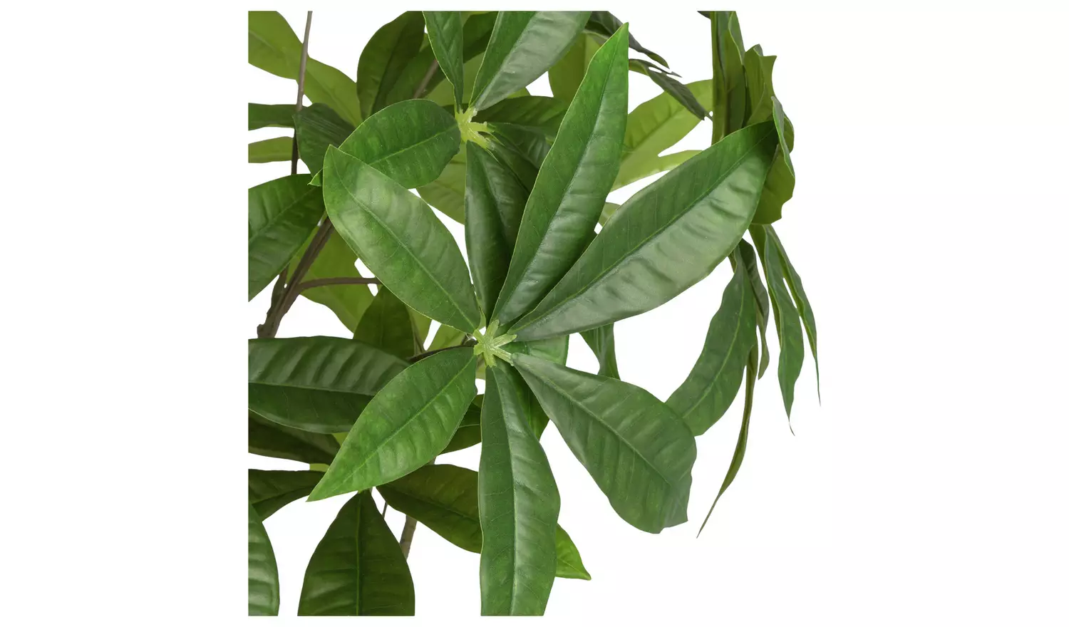 Home 41 inch Tall Faux Money Tree