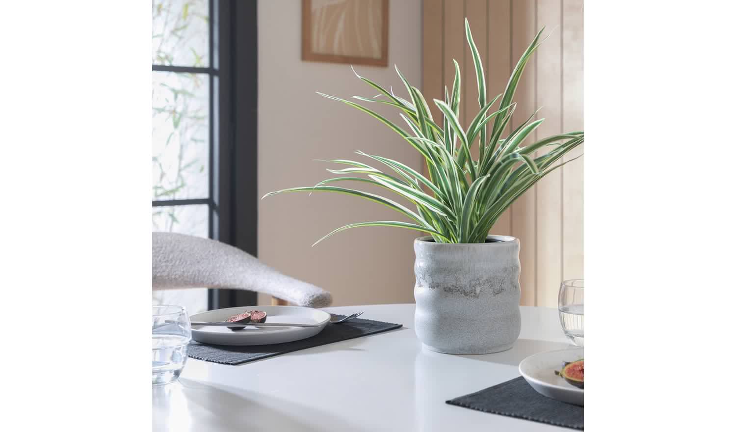 Argos Home Artificial Green Large Spider Plant - 38cm