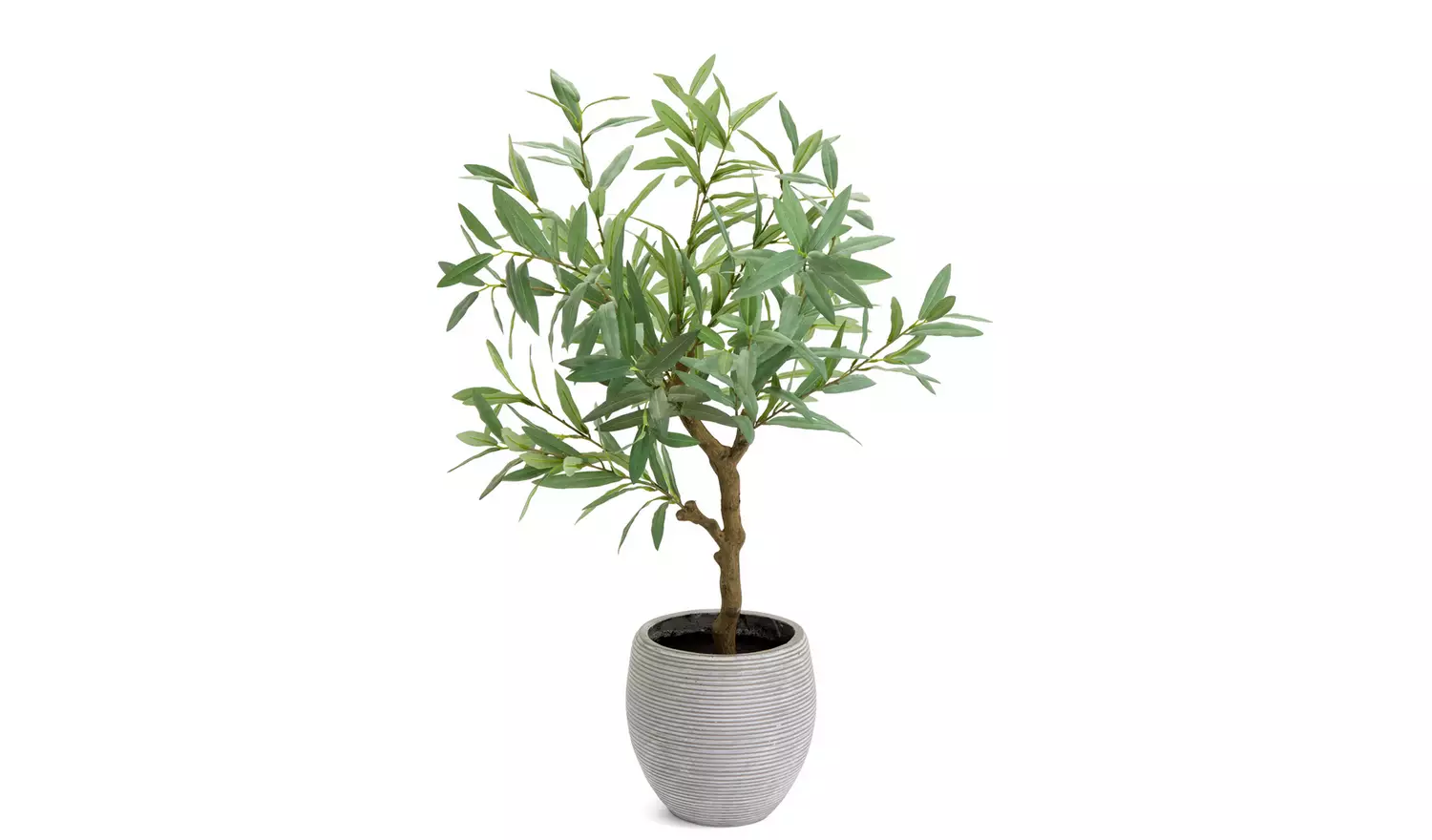Habitat Artificial Green Olive Tree in White Resin Pot