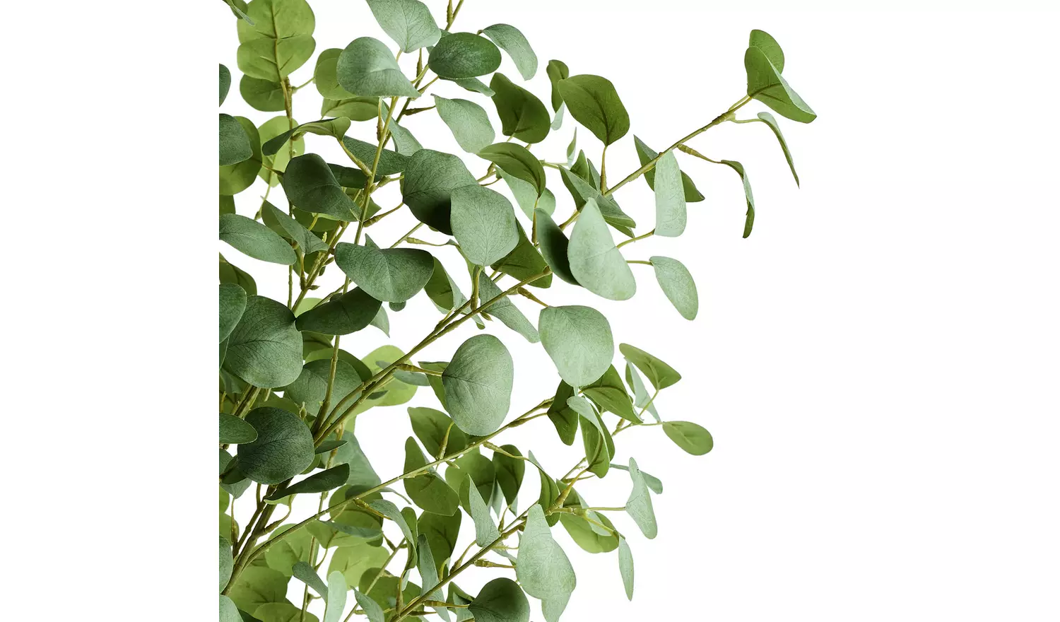 Habitat Artificial Green Eucalyptus Tree - 61cm