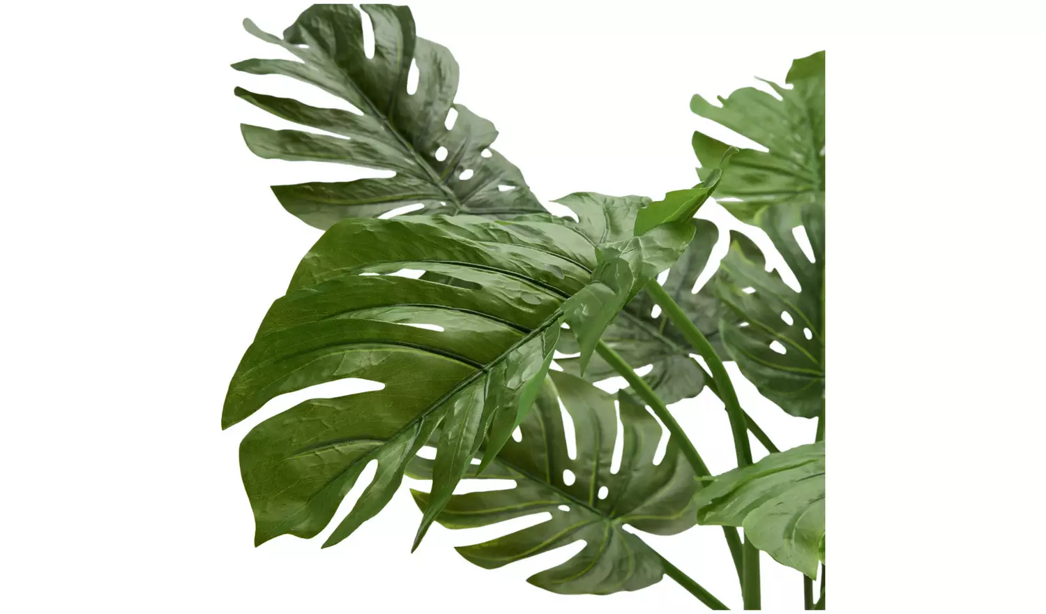 Habitat Artificial Green Monstera Plant - 61cm