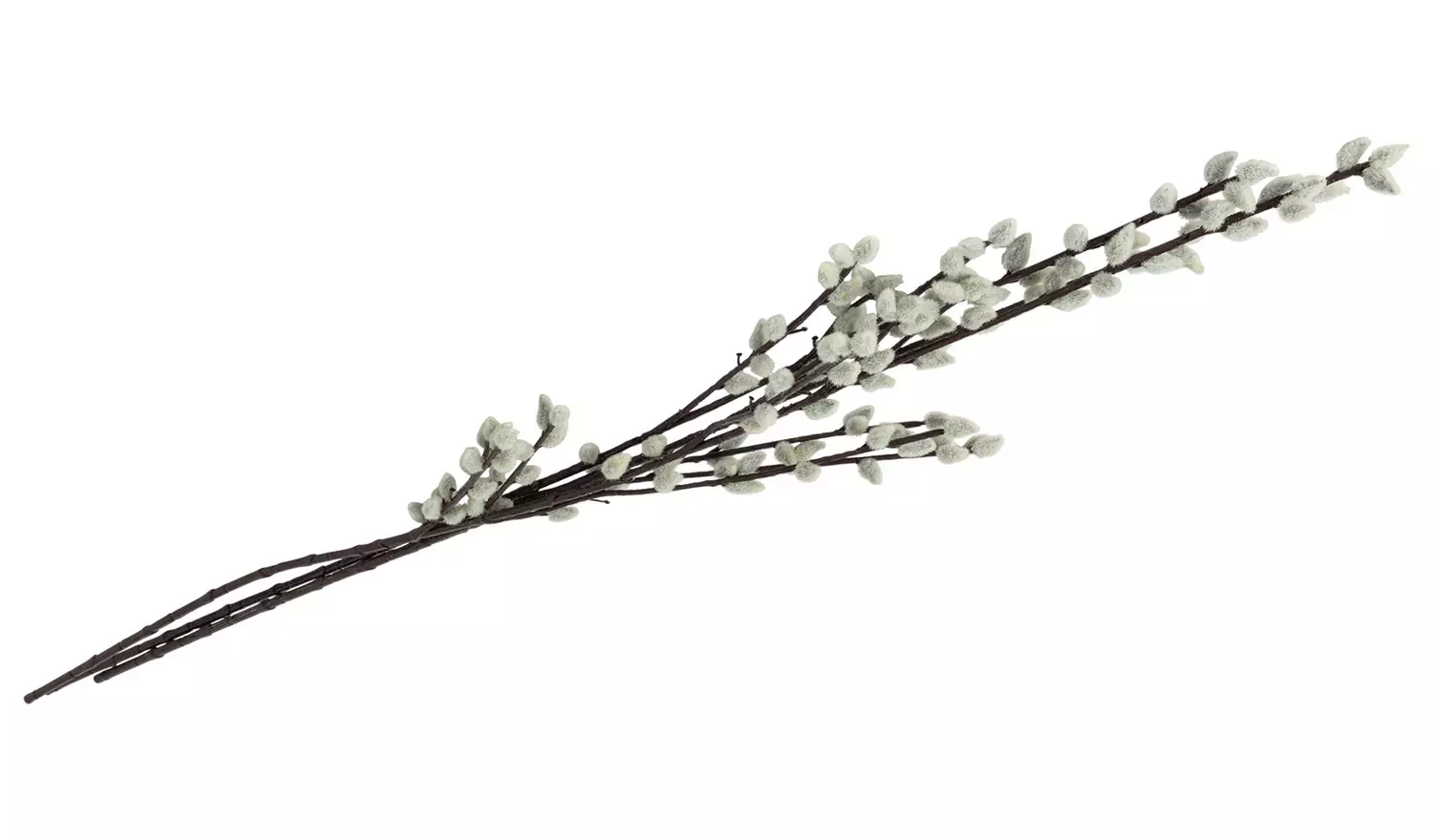 Argos Home Artificial Cream Pussy Willow Stems 3 Pack - 94cm