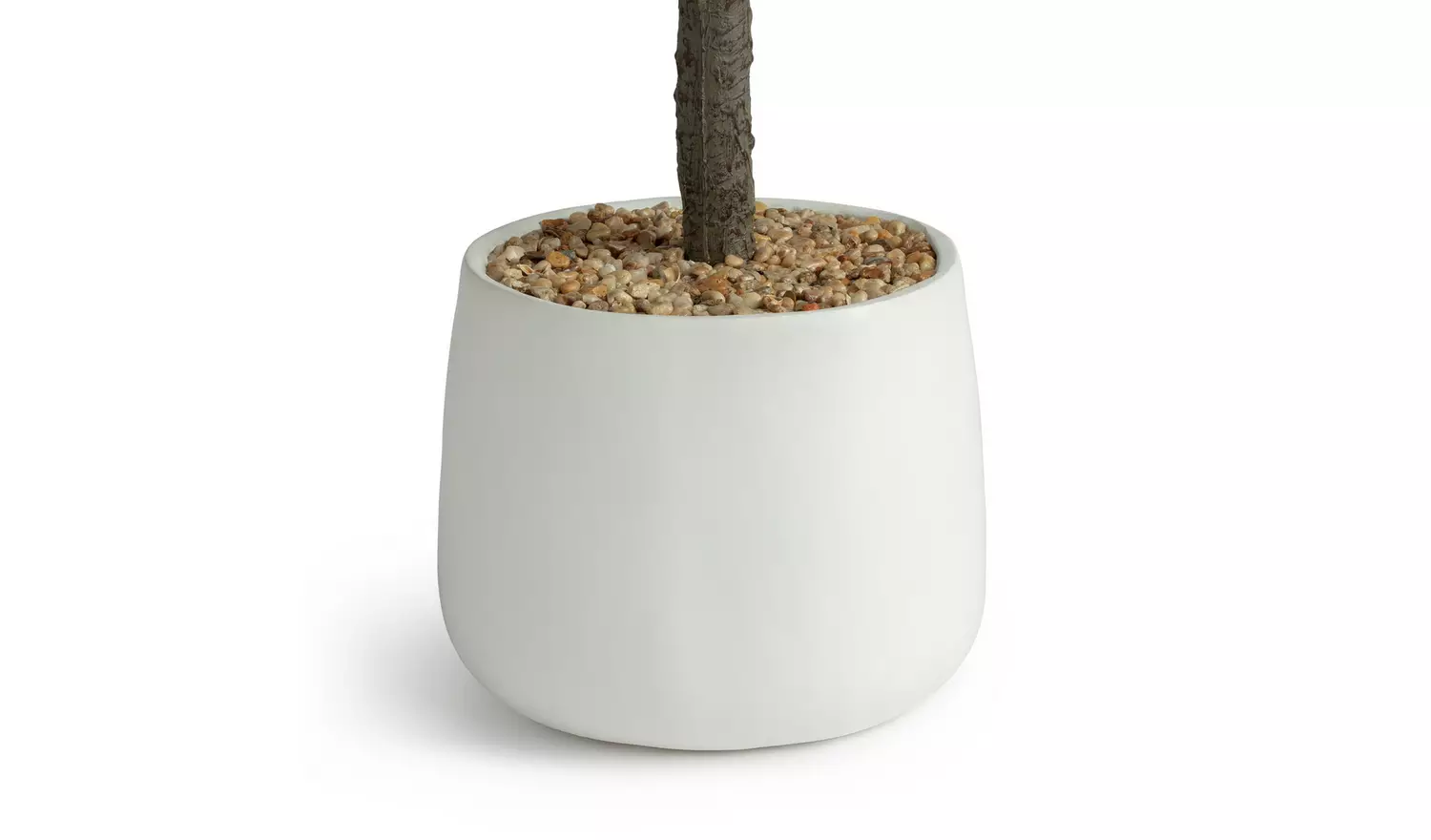 Garden by Sainsbury's Rounded Bay Tree in Pot