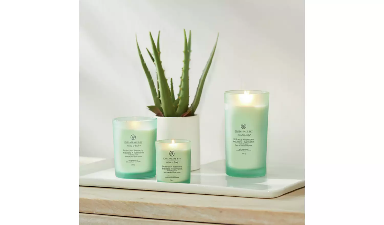 Chesapeake Bay Medium Jar Candle - Waterlily Pear