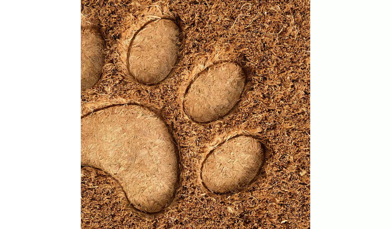 Argos Home Paws Debossed Coir Mat - 40x60cm