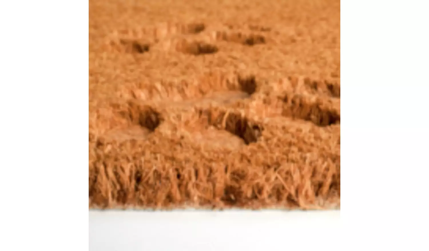 Argos Home Paws Debossed Coir Mat - 40x60cm