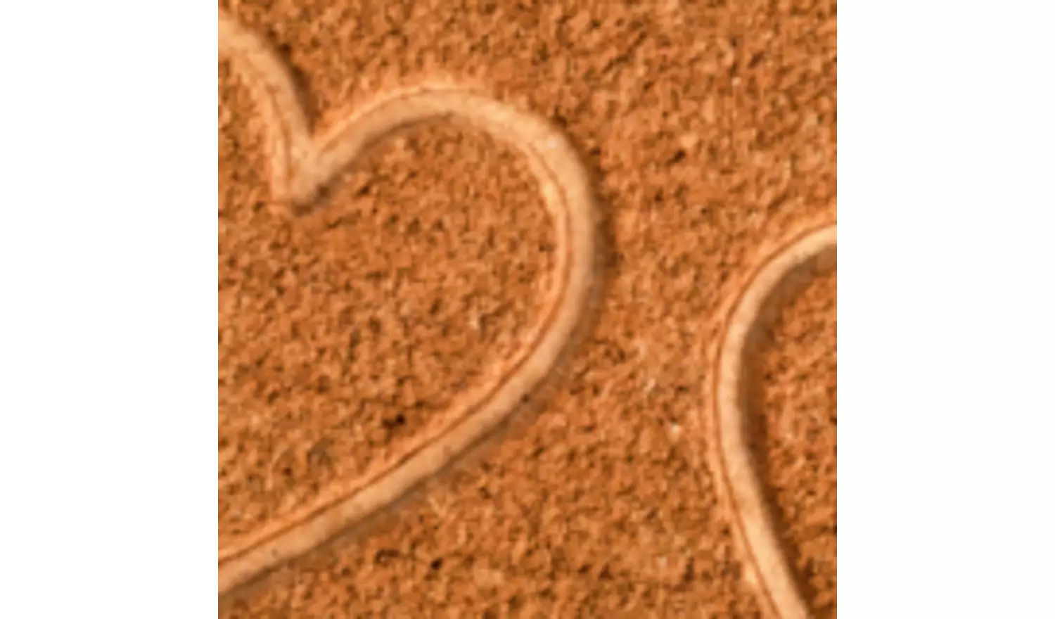 Argos Home Hearts Debossed Coir Mat - 40x60cm