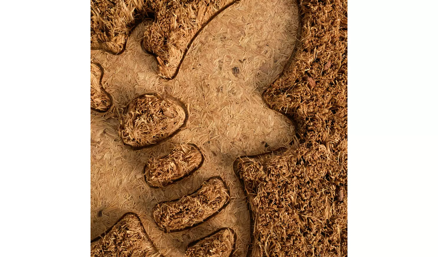 Argos Home Bee Debossed Coir Mat 40x60cm