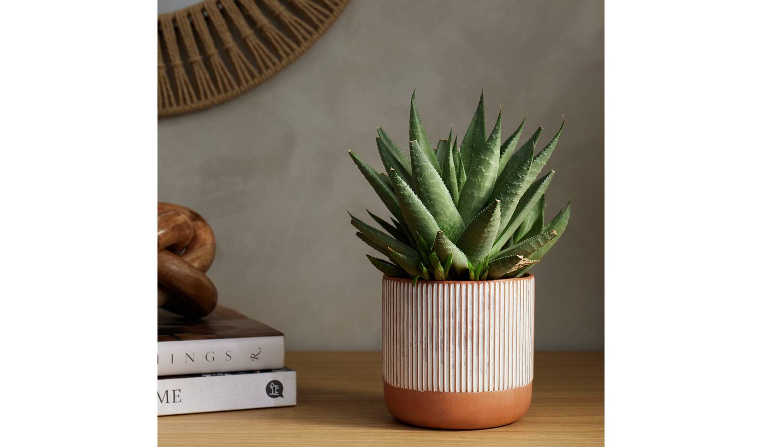 Habitat Terracotta Medium Planter - Orange
