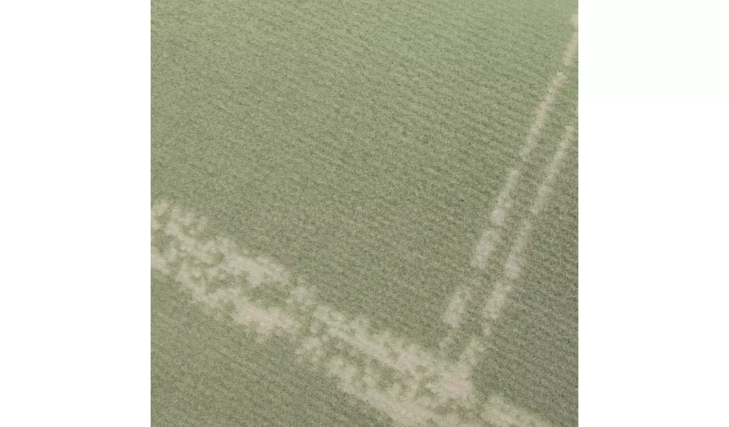 Homemaker Maestro Checks Green Cut Pile Rug - 230x160cm