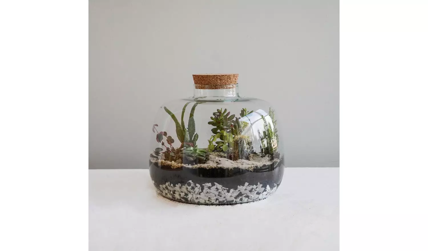 Ivyline Bowl Shape Large Terrarium DIY Kit