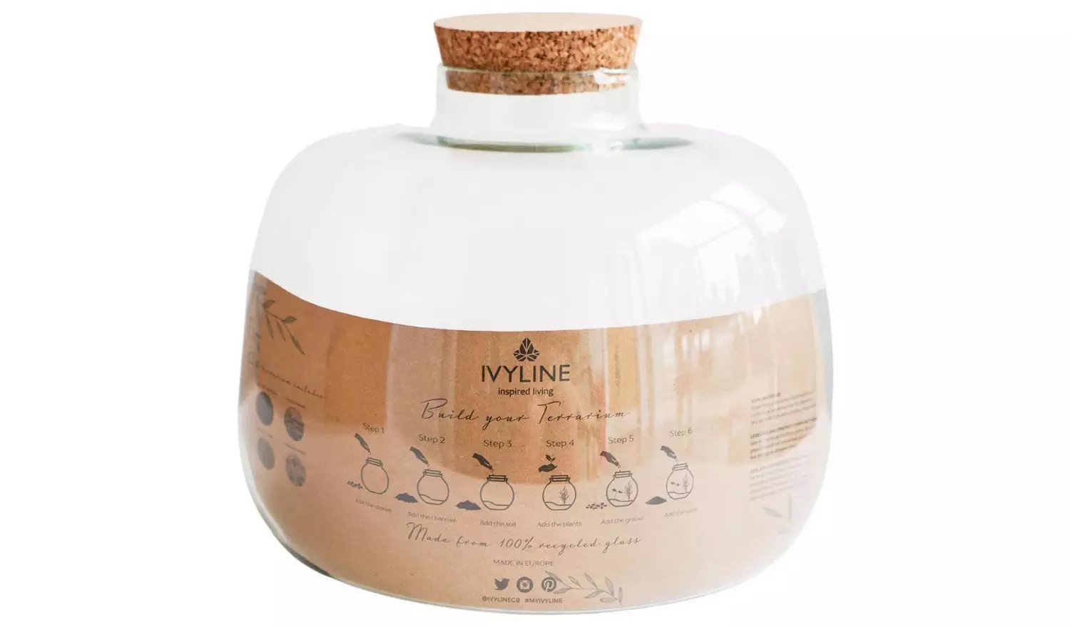 Ivyline Bowl Shape Large Terrarium DIY Kit