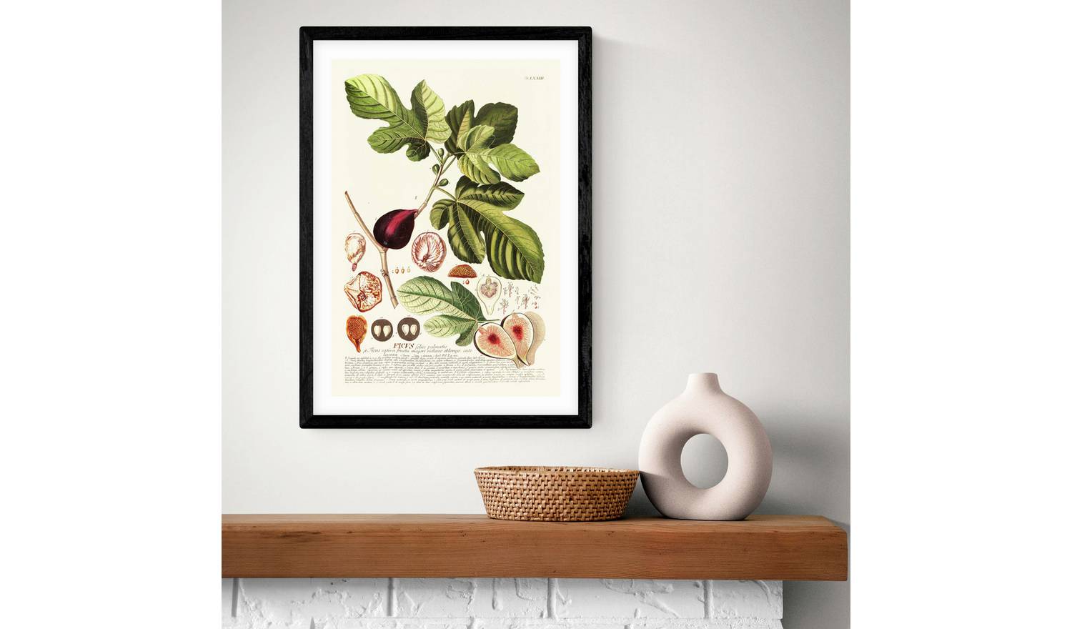 East End Prints Ficus Black Frame Art Print - A3