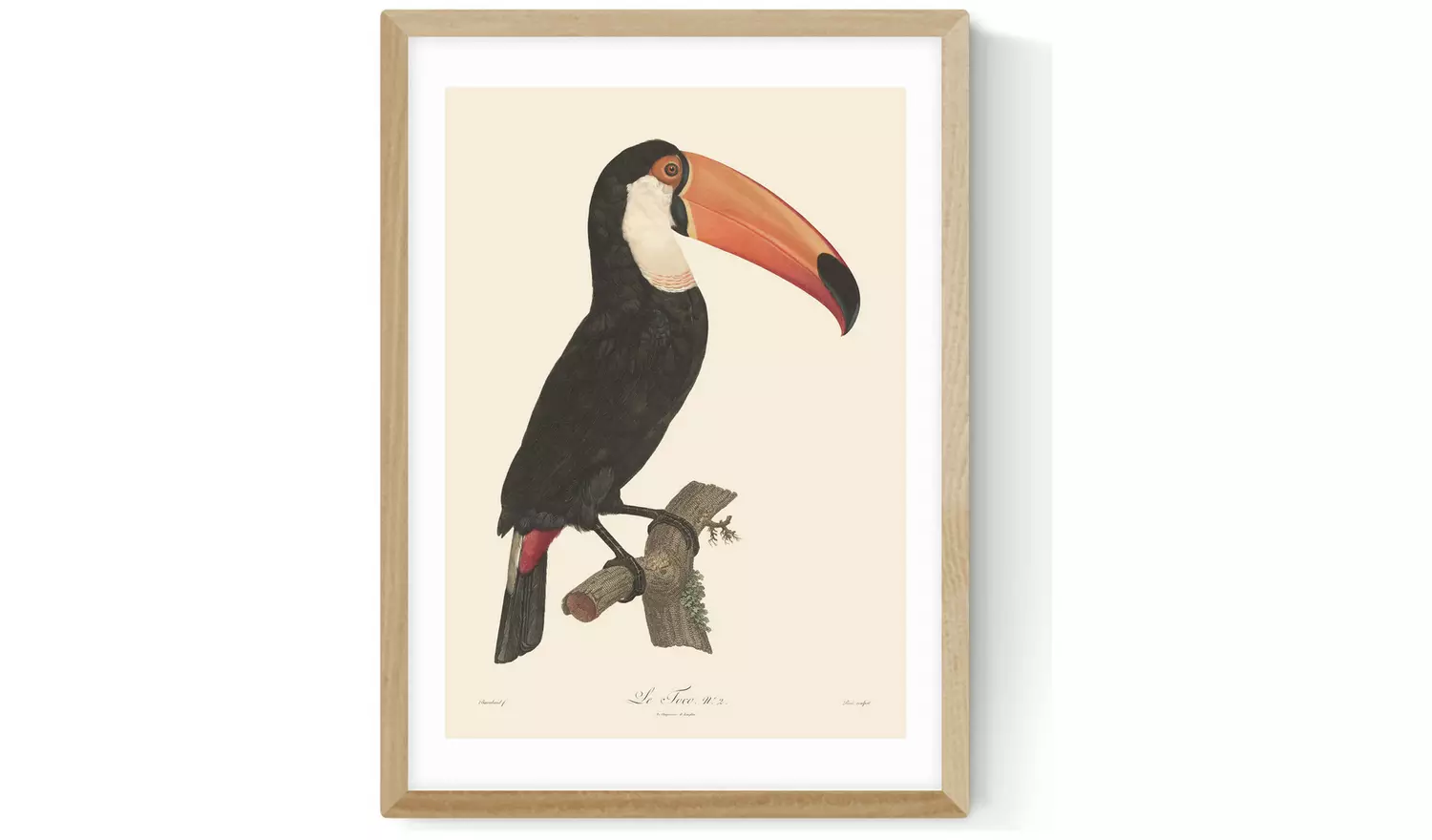 East End Prints Toucan Oak Frame Art Print - A2