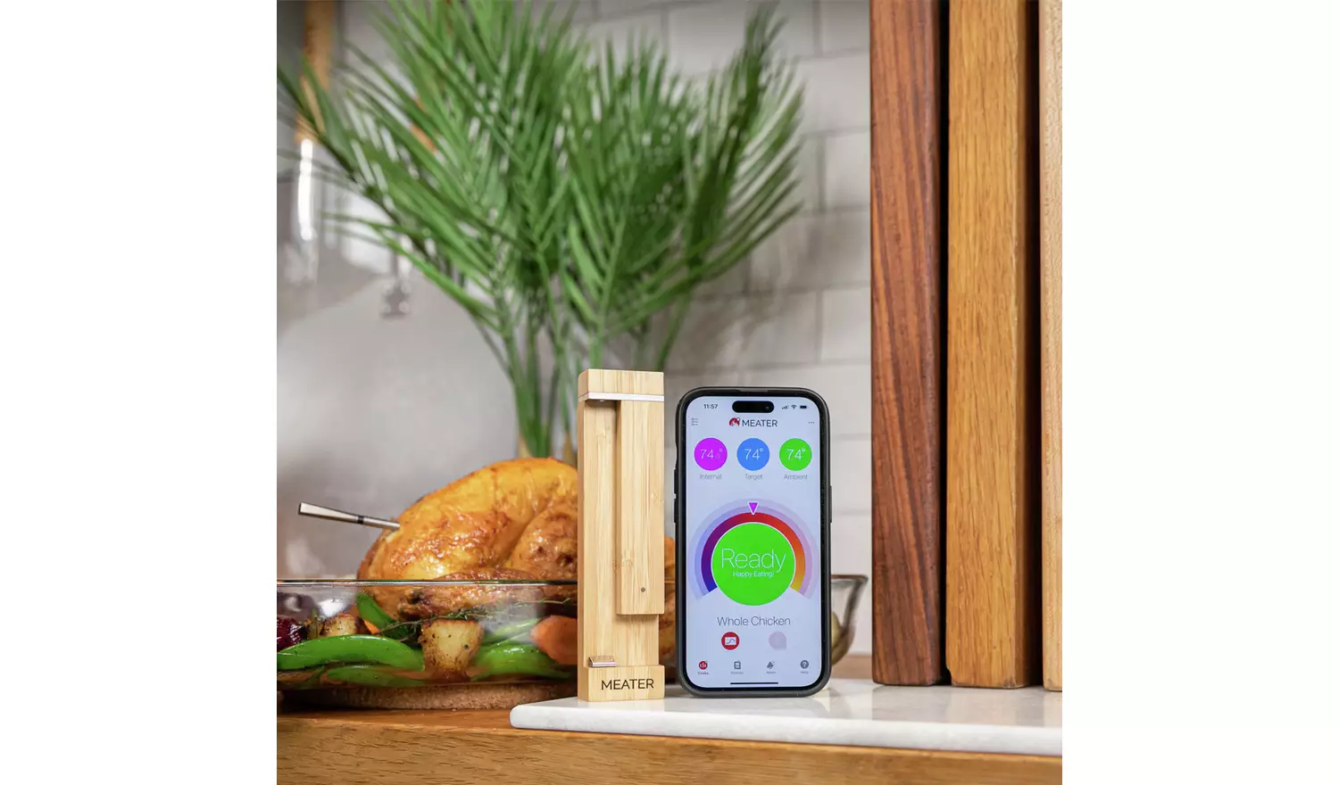 Meater Pro Wireless Meat Thermometer