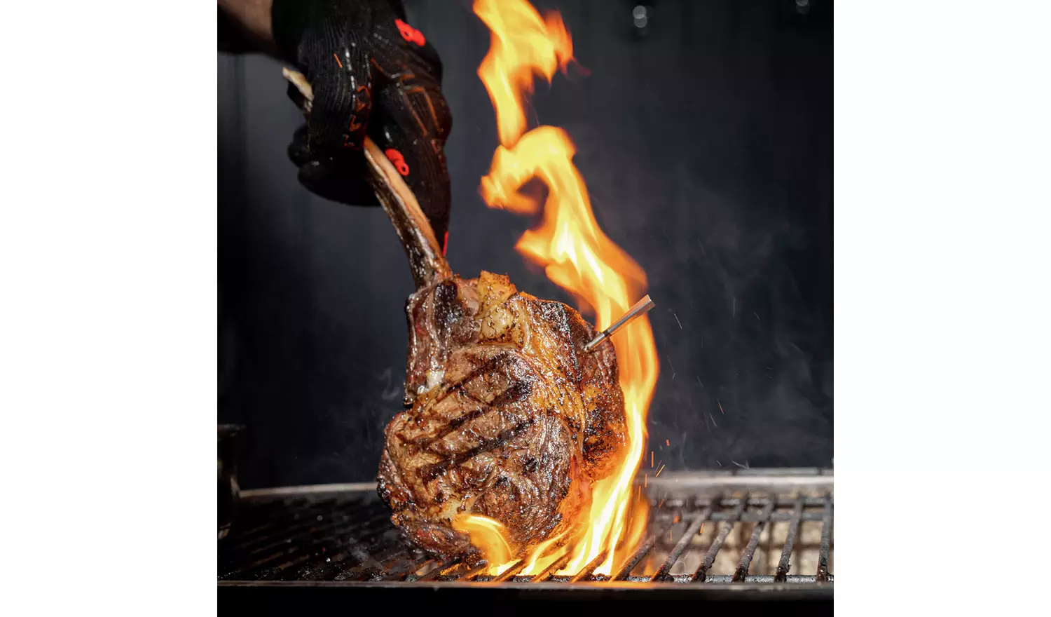 Meater Pro XL Wi-Fi Wireless Meat Thermometer Hub