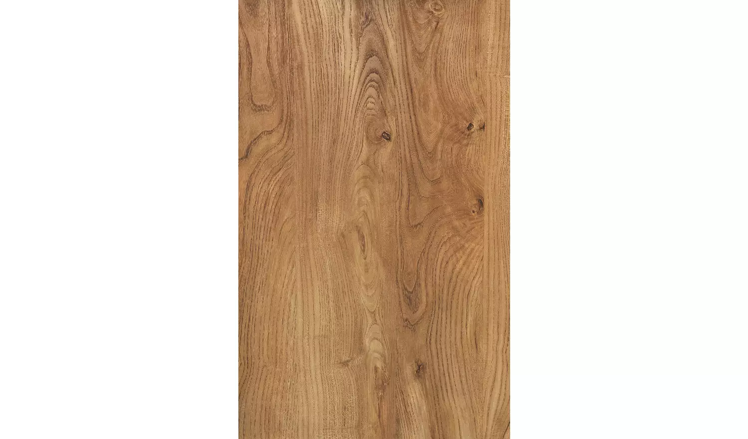 Habitat Nomad 2 Door Display Cabinet - Oak