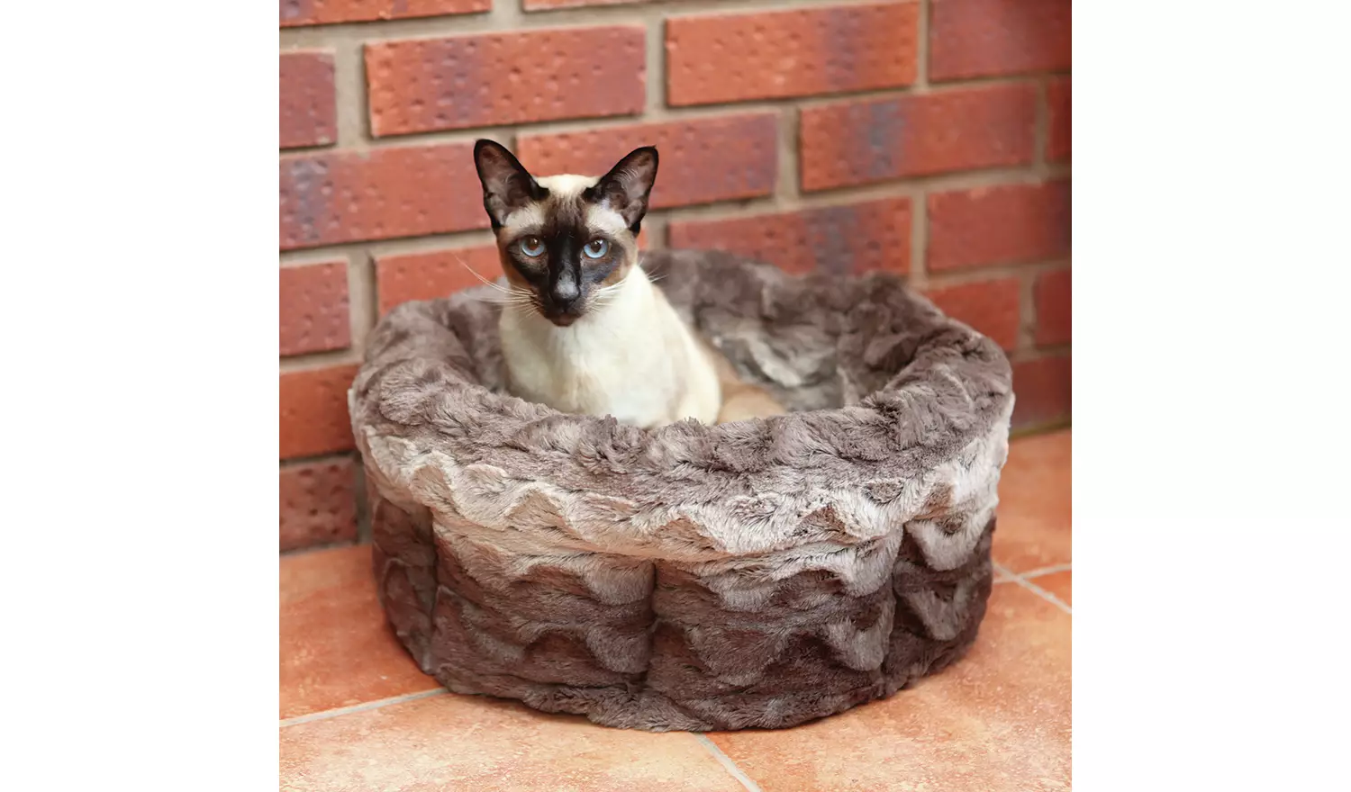 Rosewood Swirl Cat Bed - Small