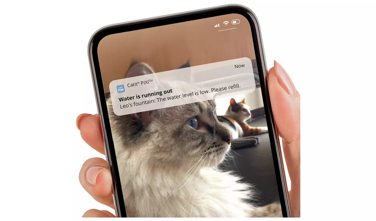 Catit PIXI Smart Water Fountain