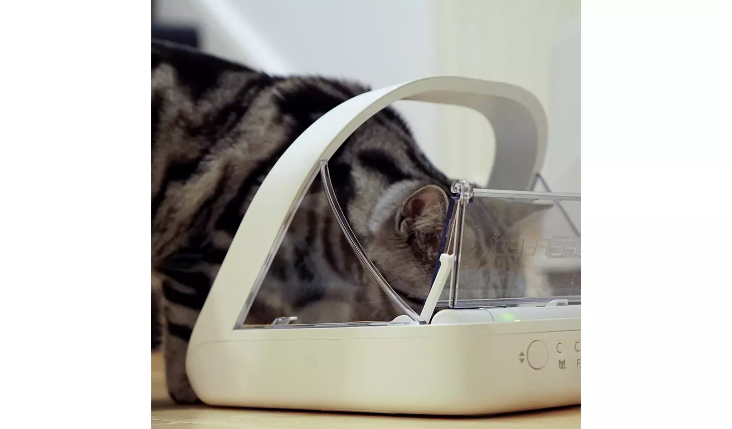 SureFeed Microchip Pet Feeder
